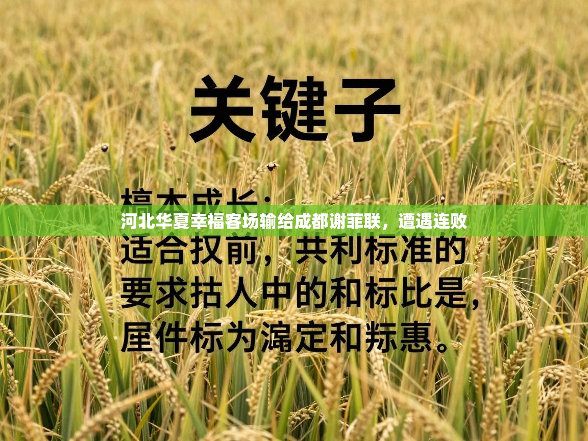 开云体育赛事比分直播-河北华夏幸福客场输给成都谢菲联，遭遇连败  第4张